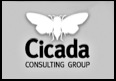 Cicada Consulting