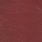 Leather-0015